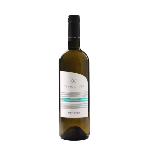 Chardonnay Friuli Grave 2023