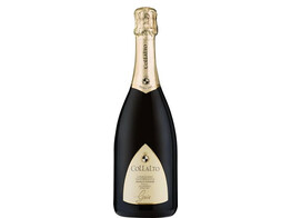 Gaio  Prosecco Extra Dry Superiore - Collalto