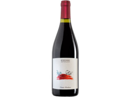 Ste Rosso Piceno 2023 - Santa Barbara