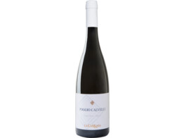 Poggio Calvelli Orvieto Classico 2022 - La Carraia
