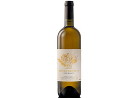 Vino Bianco Arneis 2023 - Bricco Ernesto