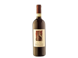 Barbera d Alba San Stefanetto 2022 - Piero Busso