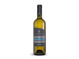 Chardonnay Friuli Grave 2023 - Terre di Ger