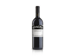 Barbera d Alba 2020 - Roagna