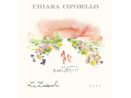 Le Lucciole Predappio Sangiovese Riserva 2022 - C. Condello