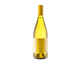 Stefano Antonucci Verdicchio Superiore 2023 - Santa Barbara