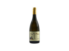 Sauvignon Blanc  Saurint  COF 2023 - Miani