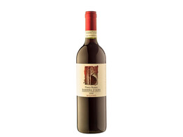 Barbera d Alba Majano 2024 - Piero Busso